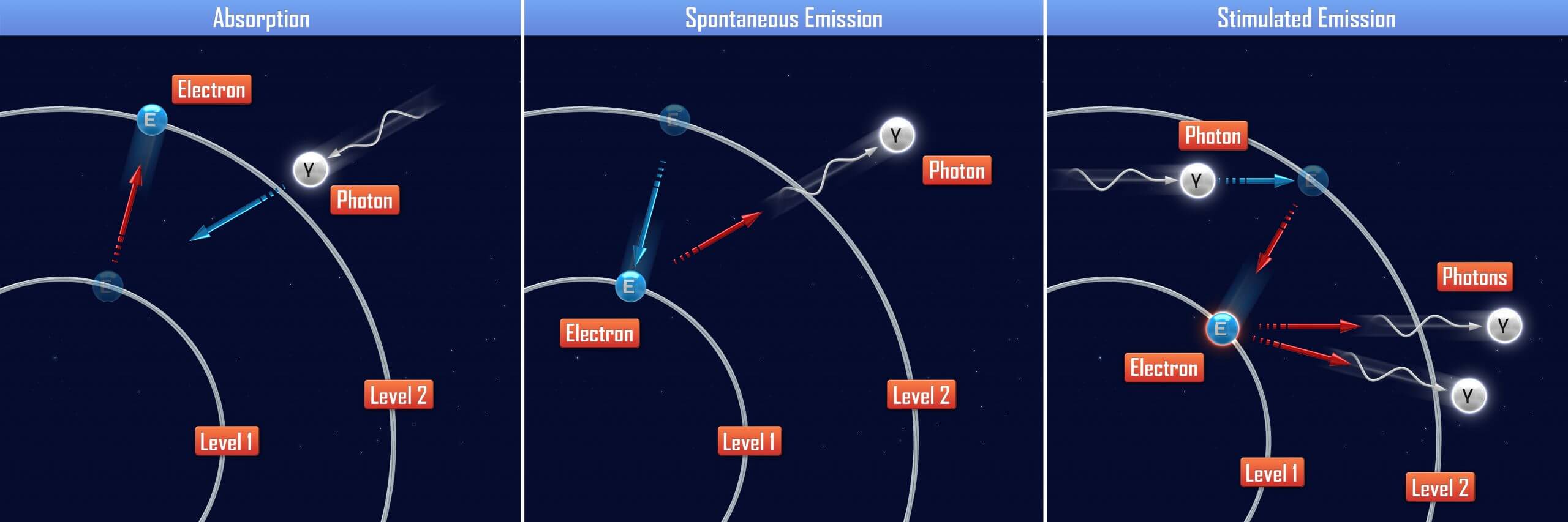 Absorption, Spontaneous Emission and Stimulated Emission