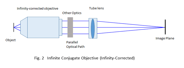 Fig2.